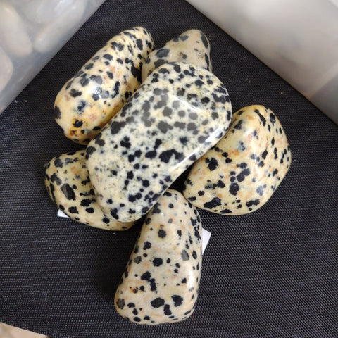 Dalmation Stone