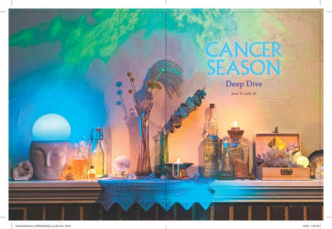 Intention Obsession: Erica Feldmann