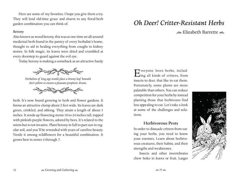 Llewellyn's 2026 Herbal Almanac