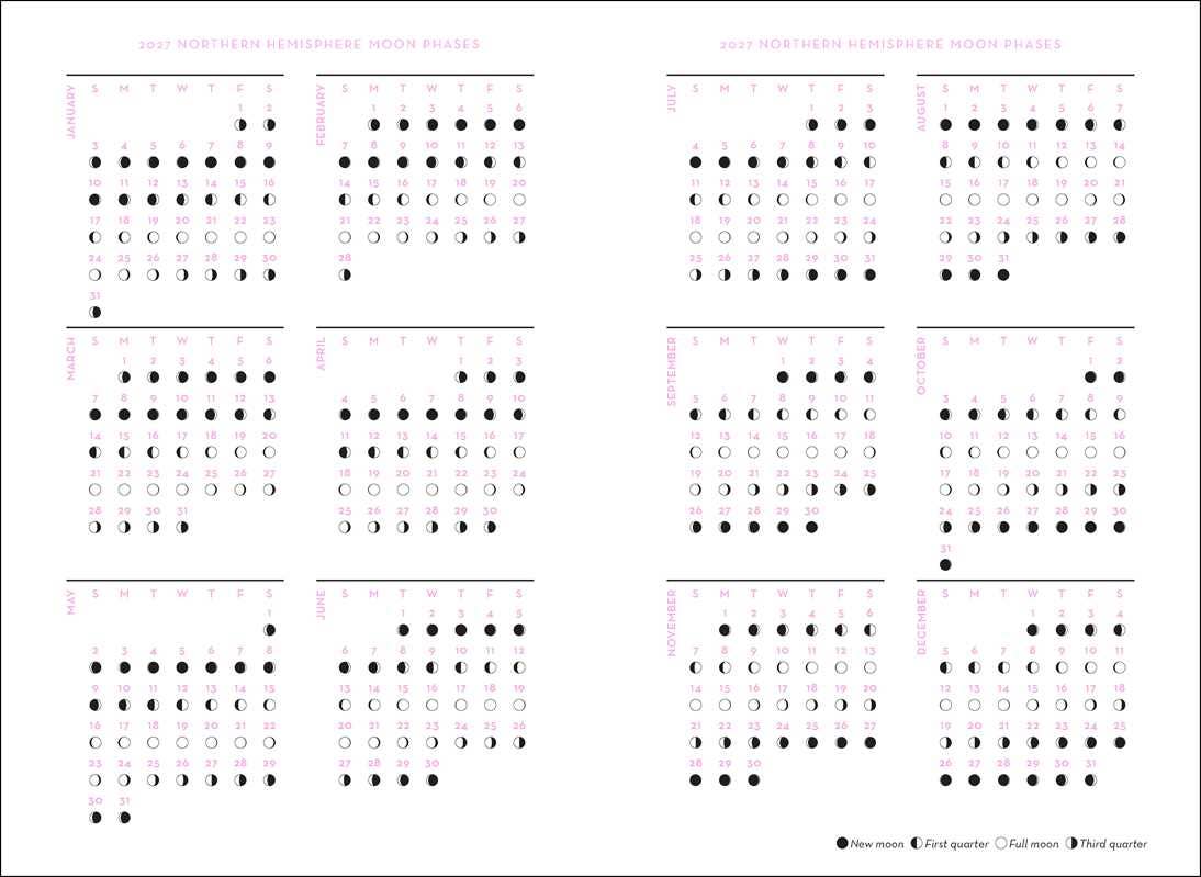 2027 Astrology Planner Calendar - Northern Hemisphere by Patsy Bennett