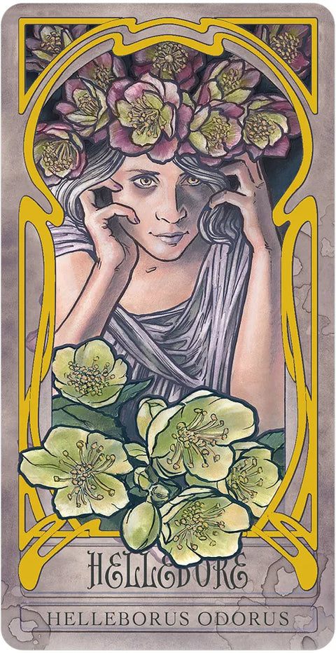 Lady Stirling's Wicked Garden Oracle Deck