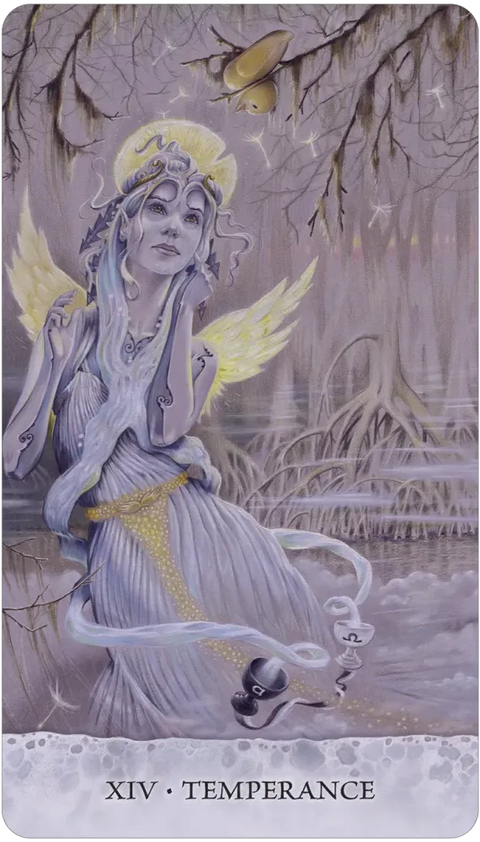 Tarot of Tides: The Adventures of a Duck Named Bob