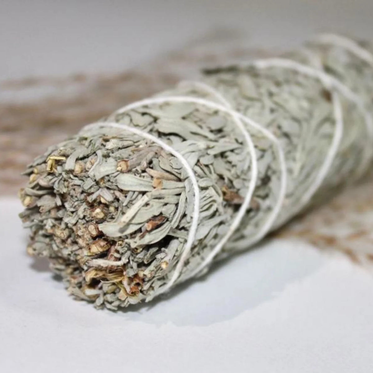Blue Sage 4"