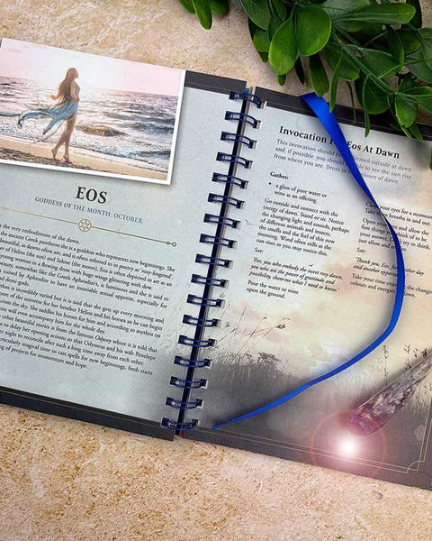 2027 Lunar and Seasonal Planner Calendar - Northern Hemisphere by Stacey Demarco