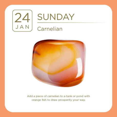 2027 Crystal Day-to-Day Calendar by Adam Barralet