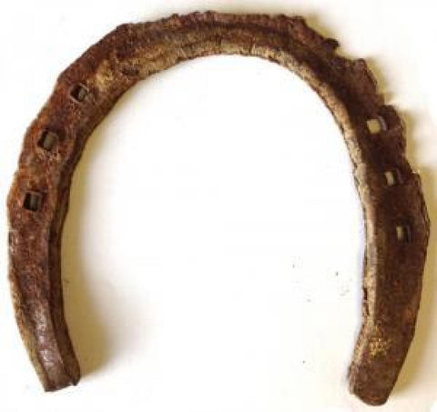 Genuine Used Horseshoe