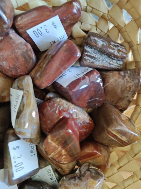 Petrified Wood, Tumbled