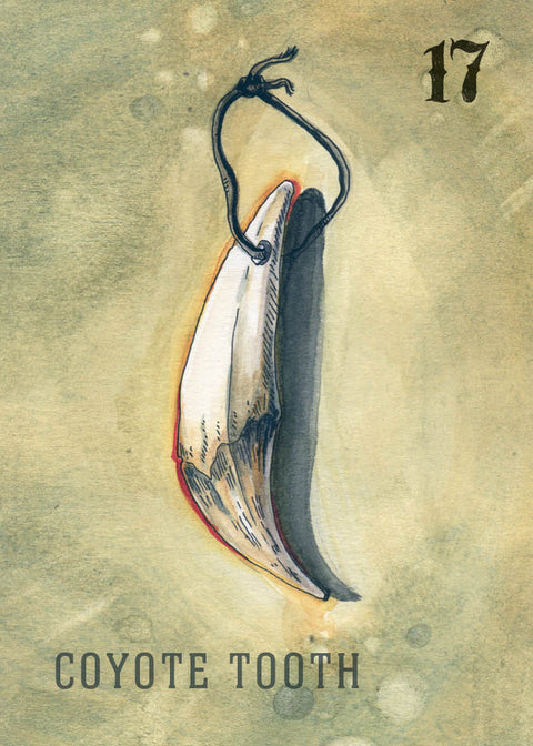 Between the Worlds : Shadowcasting with Bone and Curio Oracle Cards