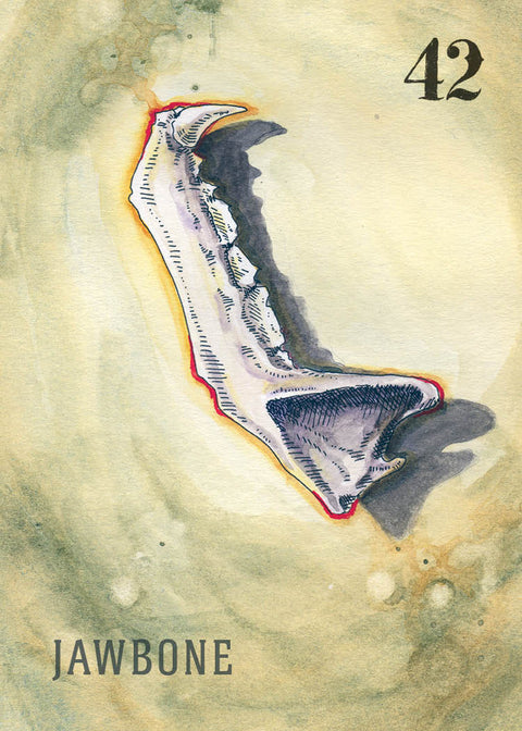 Between the Worlds : Shadowcasting with Bone and Curio Oracle Cards