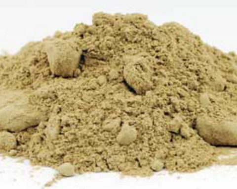 Angelica powder