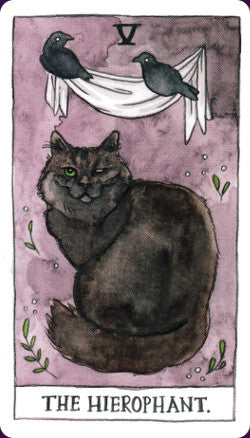 Cat Tarot