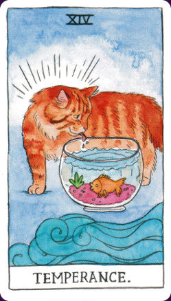Cat Tarot