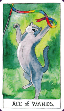 Cat Tarot