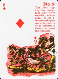 Gypsy Witch Fortune Telling Cards