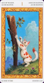 Tarot of White Cats