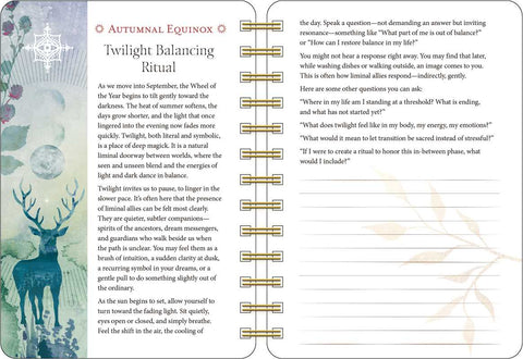 Year of the Witch 2027 Weekly Planner Calendar by Temperance  Alden