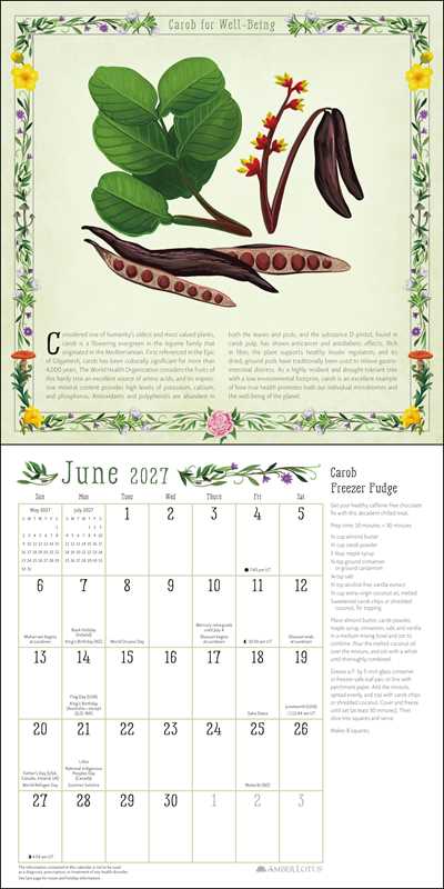 Kitchen Witch 2027 Wall Calendar by Laura  Jane