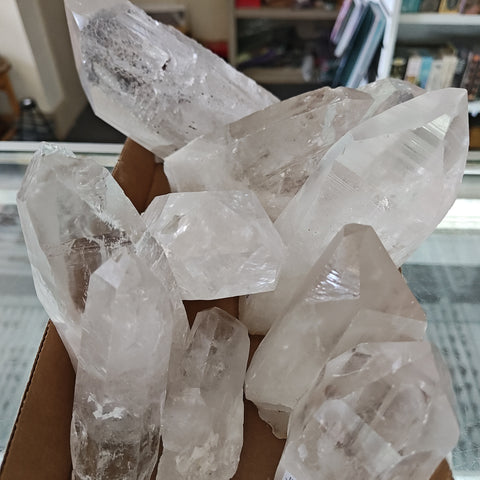 Lemurian Quartz