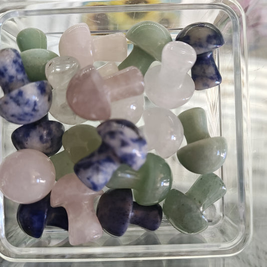 Mini Stone Mushrooms