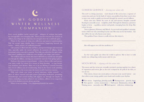 2027 Moon Goddess Planner Calendar - Northern Hemisphere by Nicci  Garaicoa
