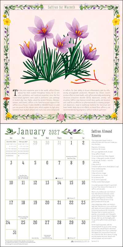 Kitchen Witch 2027 Wall Calendar by Laura  Jane