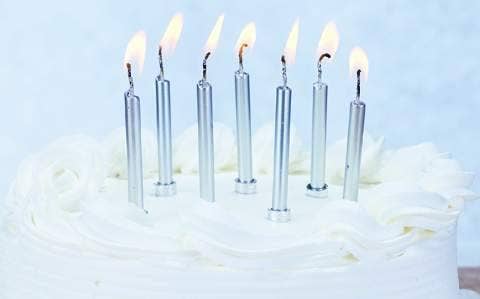 Metallic Silver Birthday Candles in Holder