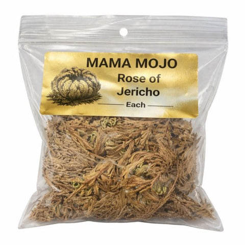 Rose of Jericho