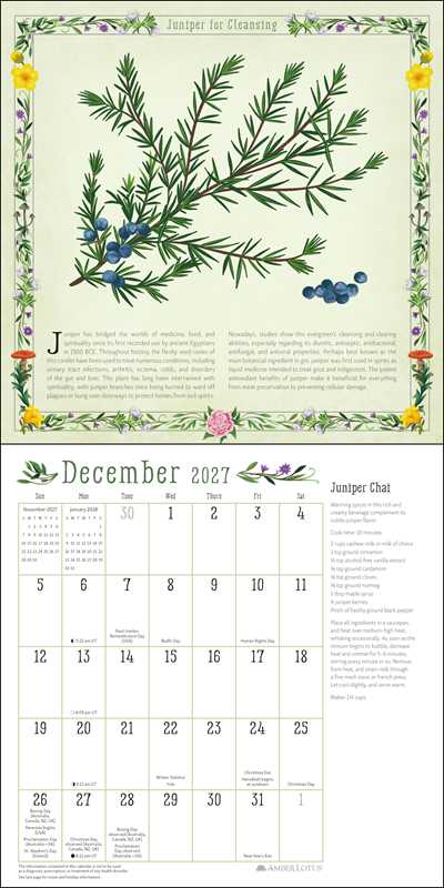 Kitchen Witch 2027 Wall Calendar by Laura  Jane