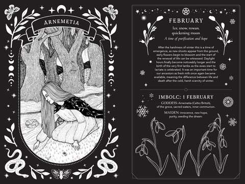 2027 Witch's Diary and Planner Calendar - Northern Hemisphere by Flavia  Kate Peters