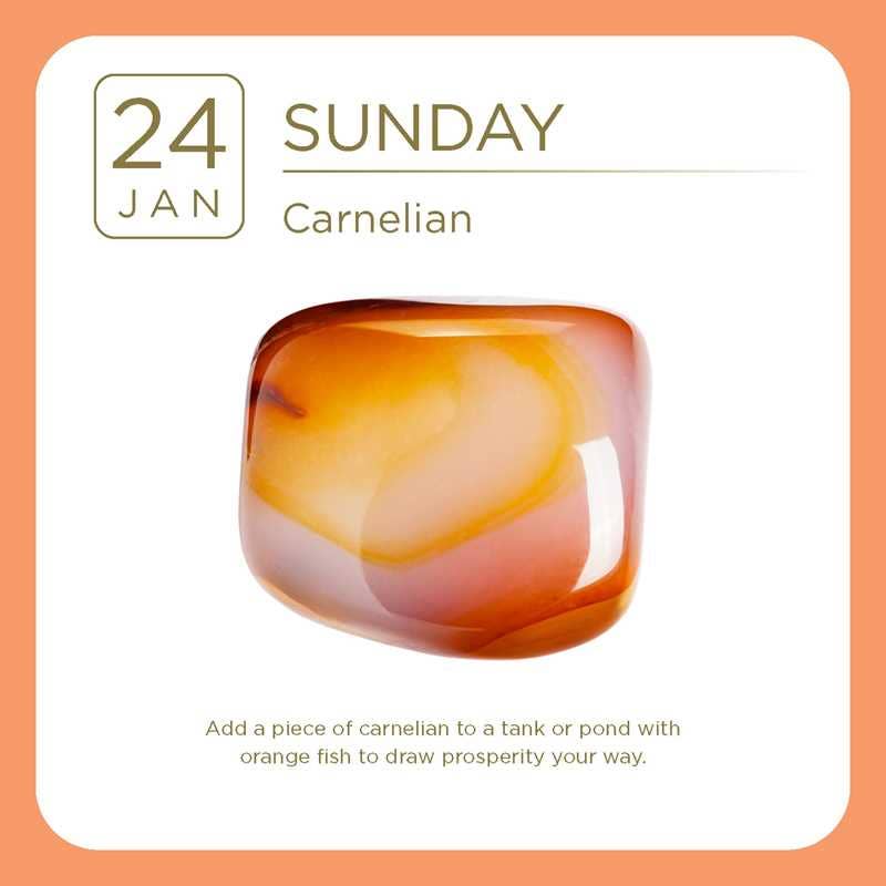2027 Crystal Day-to-Day Calendar by Adam  Barralet