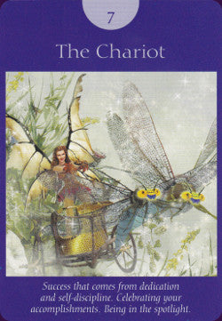 Fairy Tarot Cards (Used)
