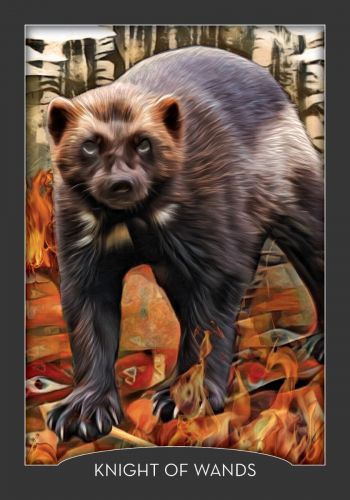 The Guardian of the Night Tarot