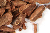 Bayberry bark cut