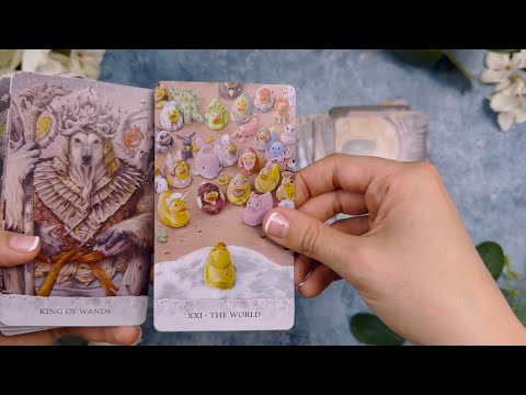 Tarot of Tides: The Adventures of a Duck Named Bob