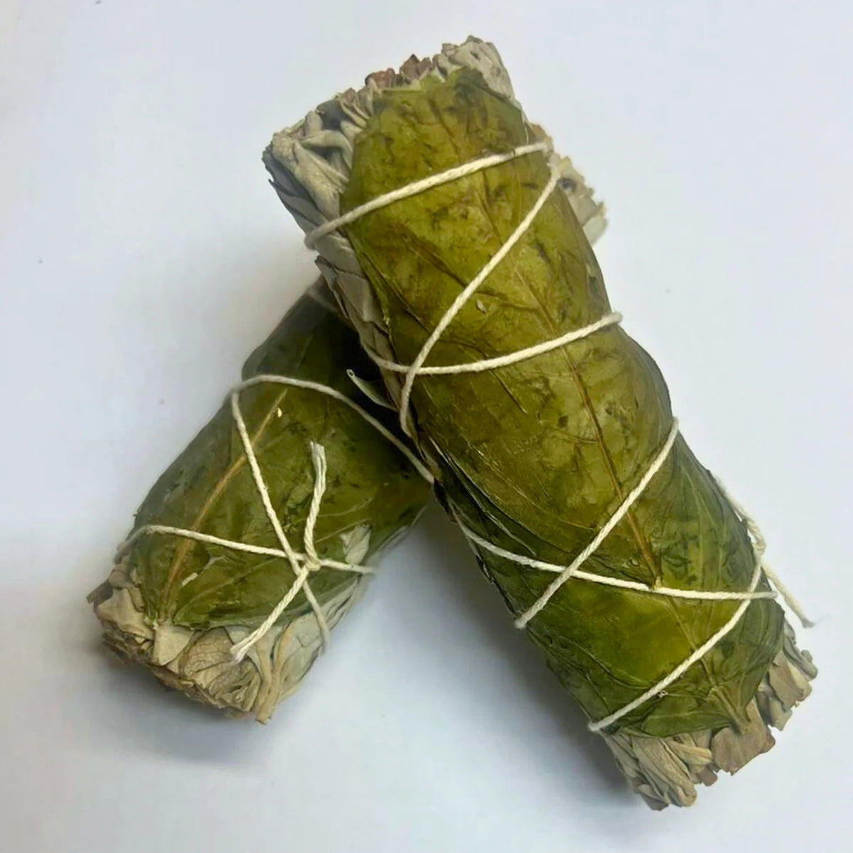 White Sage & Basil 4"