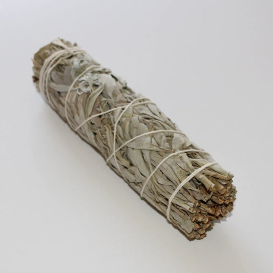 White Sage Plain 6"