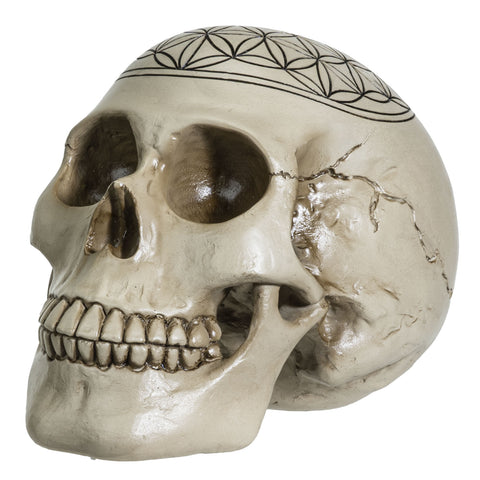 Sacred Geometry Skull