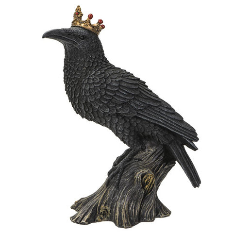 Crowned Raven