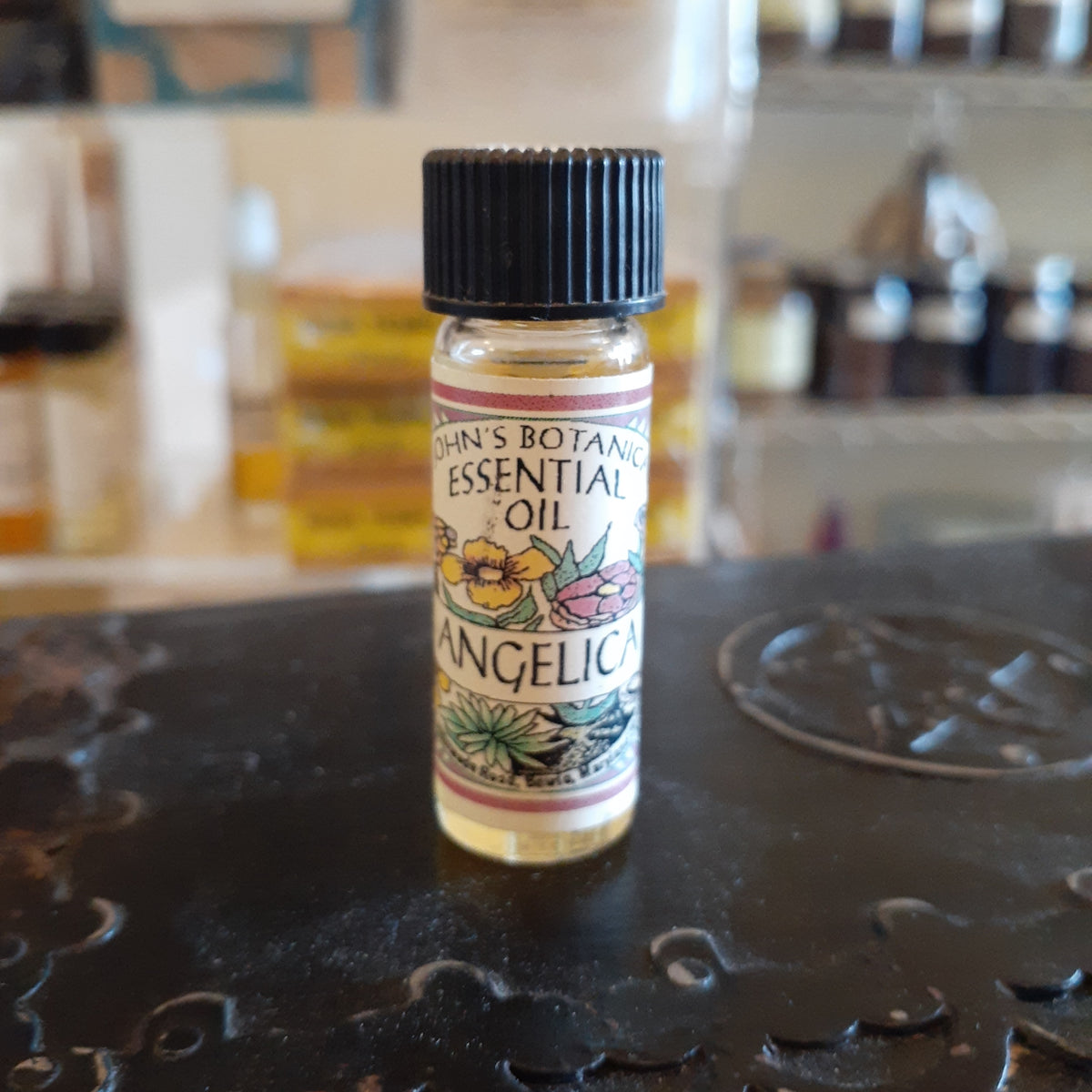 Angelica oil