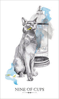 Linestrider Tarot