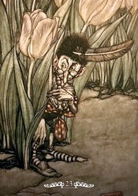 Fairy Oracle