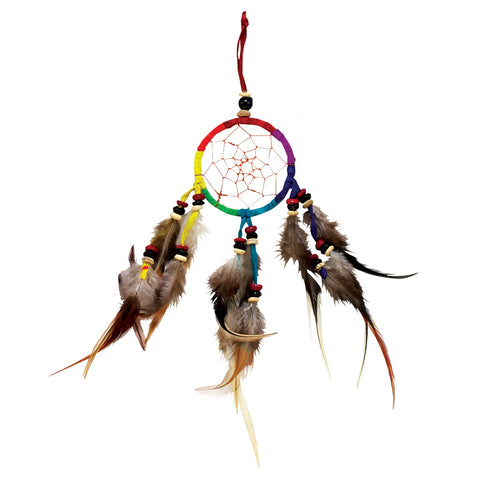 Rainbow Dreamcatcher