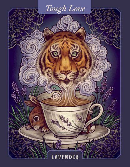 The Illustrated Herbiary Oracle Cards