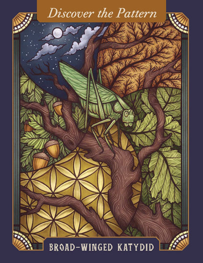 The Illustrated Bestiary Oracle Cards