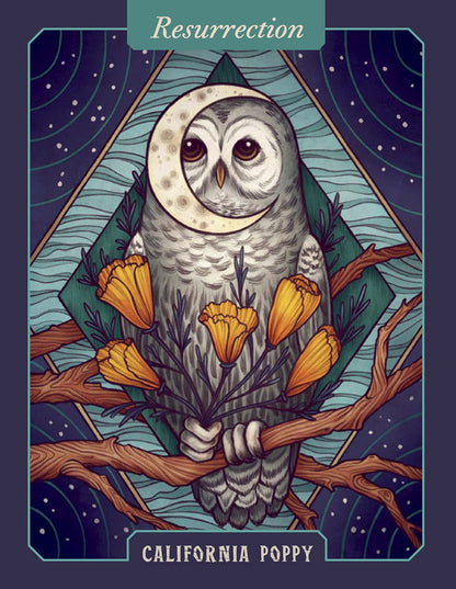The Illustrated Herbiary Oracle Cards
