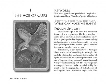The Secret Language of Birds Tarot
