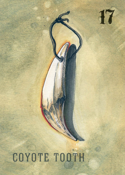 Between the Worlds : Shadowcasting with Bone and Curio Oracle Cards