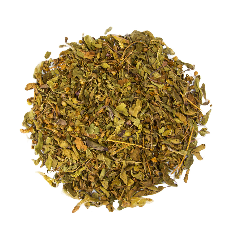 Holy Basil
