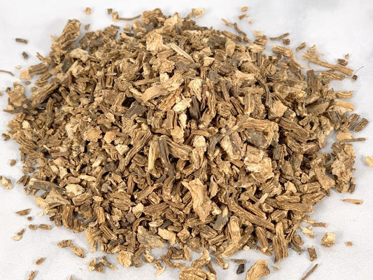 Angelica root