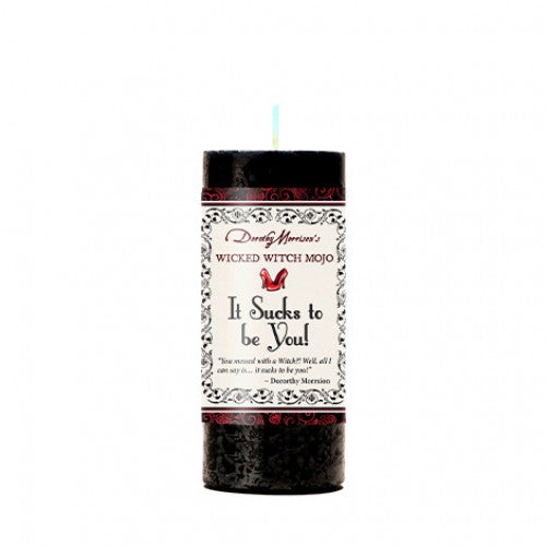It Sucks to Be You candle